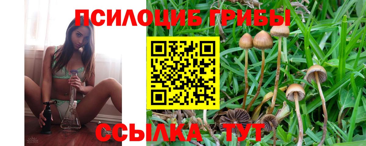 Елабуга  Псилоцибиновые грибы мухоморы  Вход с VPN  Псилоцибиновые грибы мухоморы 