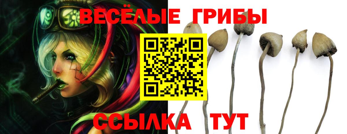 Галлюциногенные грибы мицелий Елабуга
